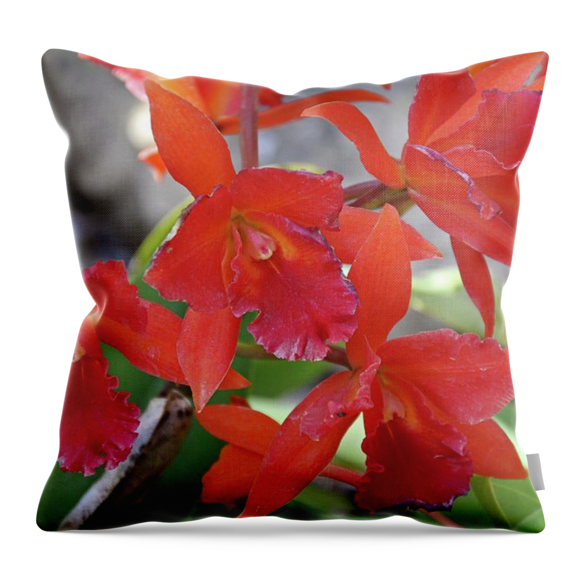 Orchid Throw Pillow featuring the photograph Keep It Between Us #1 by Michiale Schneider