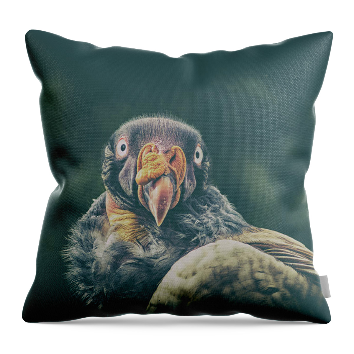 Bird Throw Pillow featuring the photograph King Vulture #1 by Martin Newman