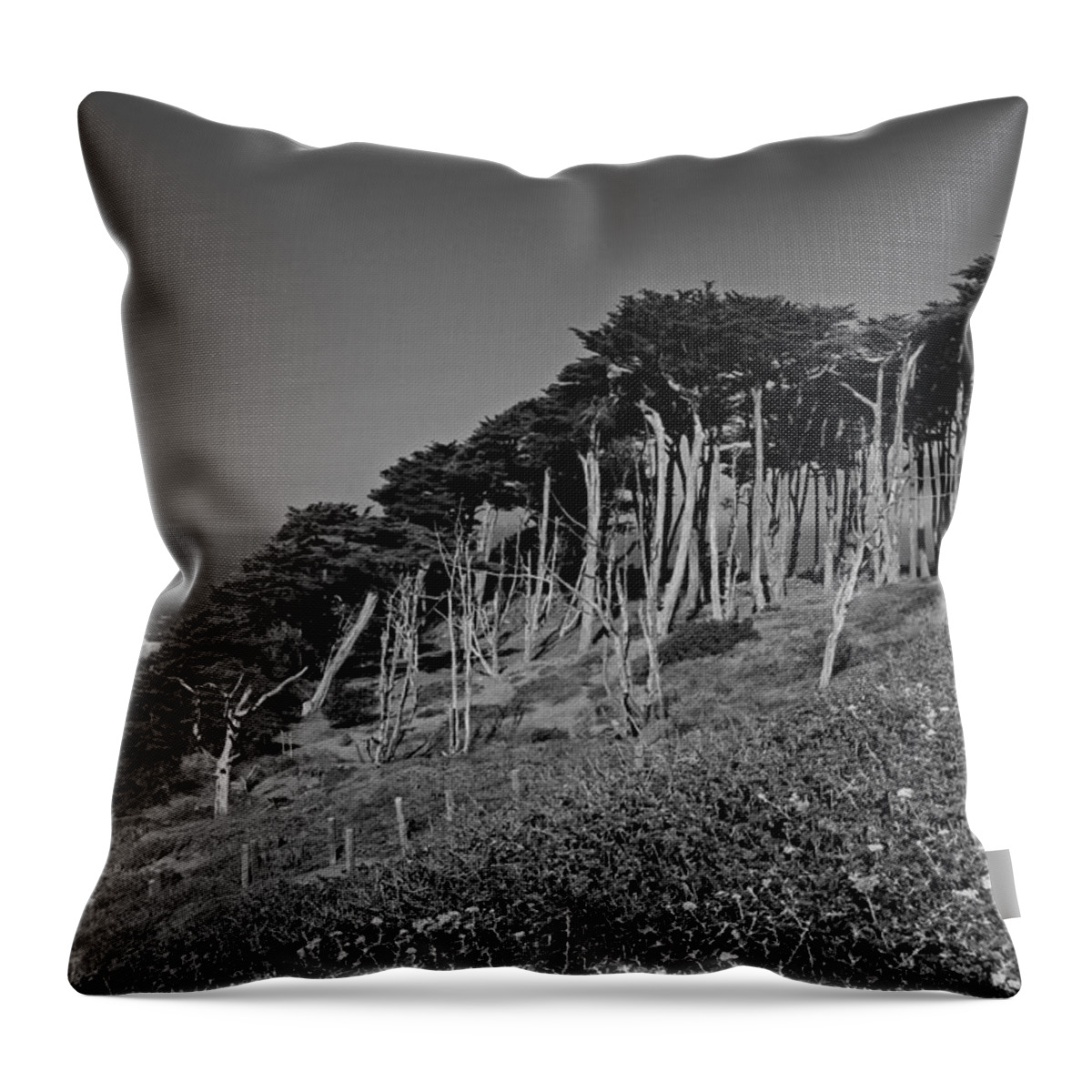 San Francisco Throw Pillow featuring the photograph Lands End in San Francisco #1 by Michiale Schneider