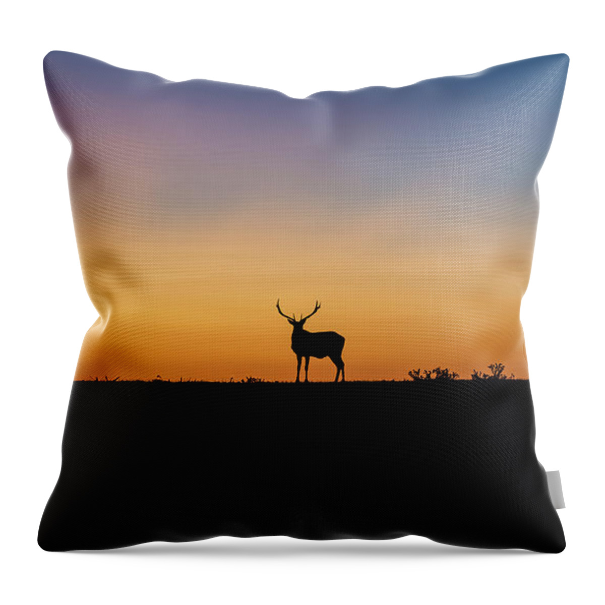Point Reyes Throw Pillow featuring the photograph Last Light #1 by Mike Ronnebeck