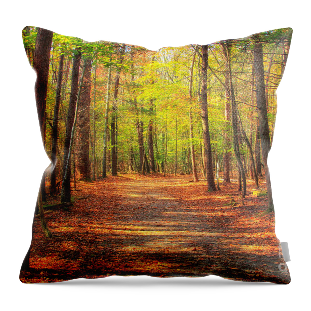Let's Take A Walk Throw Pillow featuring the photograph Let's Take A Walk #2 by Geraldine DeBoer
