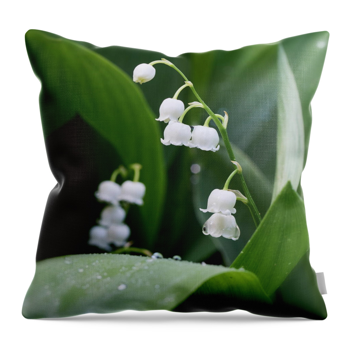Finland Throw Pillow featuring the photograph Lily of the valley #2 by Jouko Lehto
