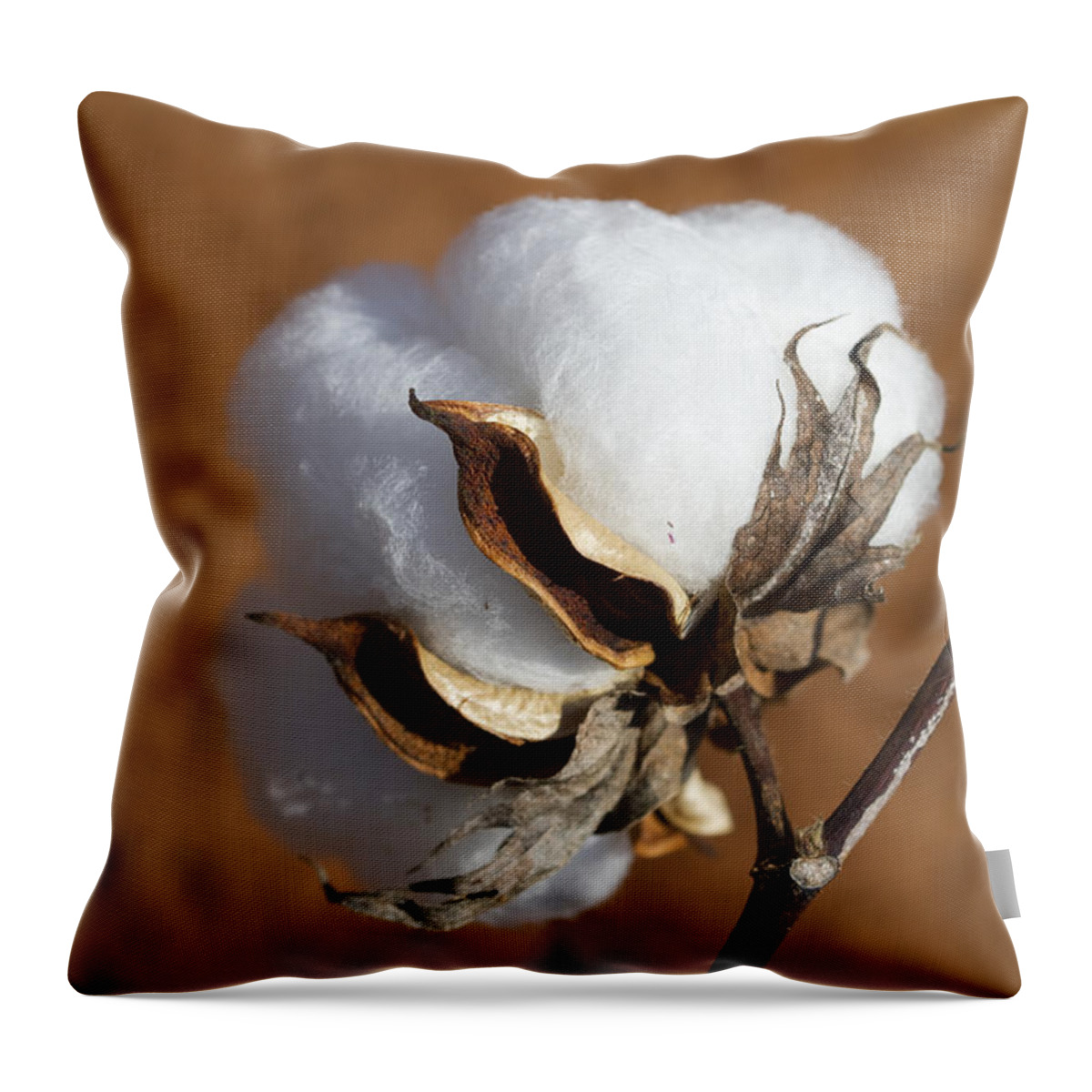 Cotton Throw Pillow featuring the photograph Limestone County Cotton Boll #1 by Kathy Clark