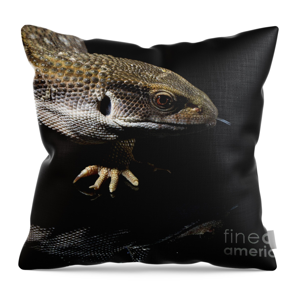 Lizards Throw Pillow featuring the photograph Lizards #1 by Gunnar Orn Arnason