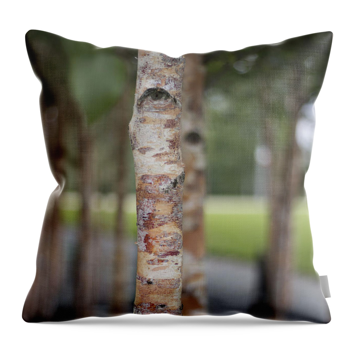 Tree Throw Pillow featuring the photograph London Eye #1 by Roger Lighterness