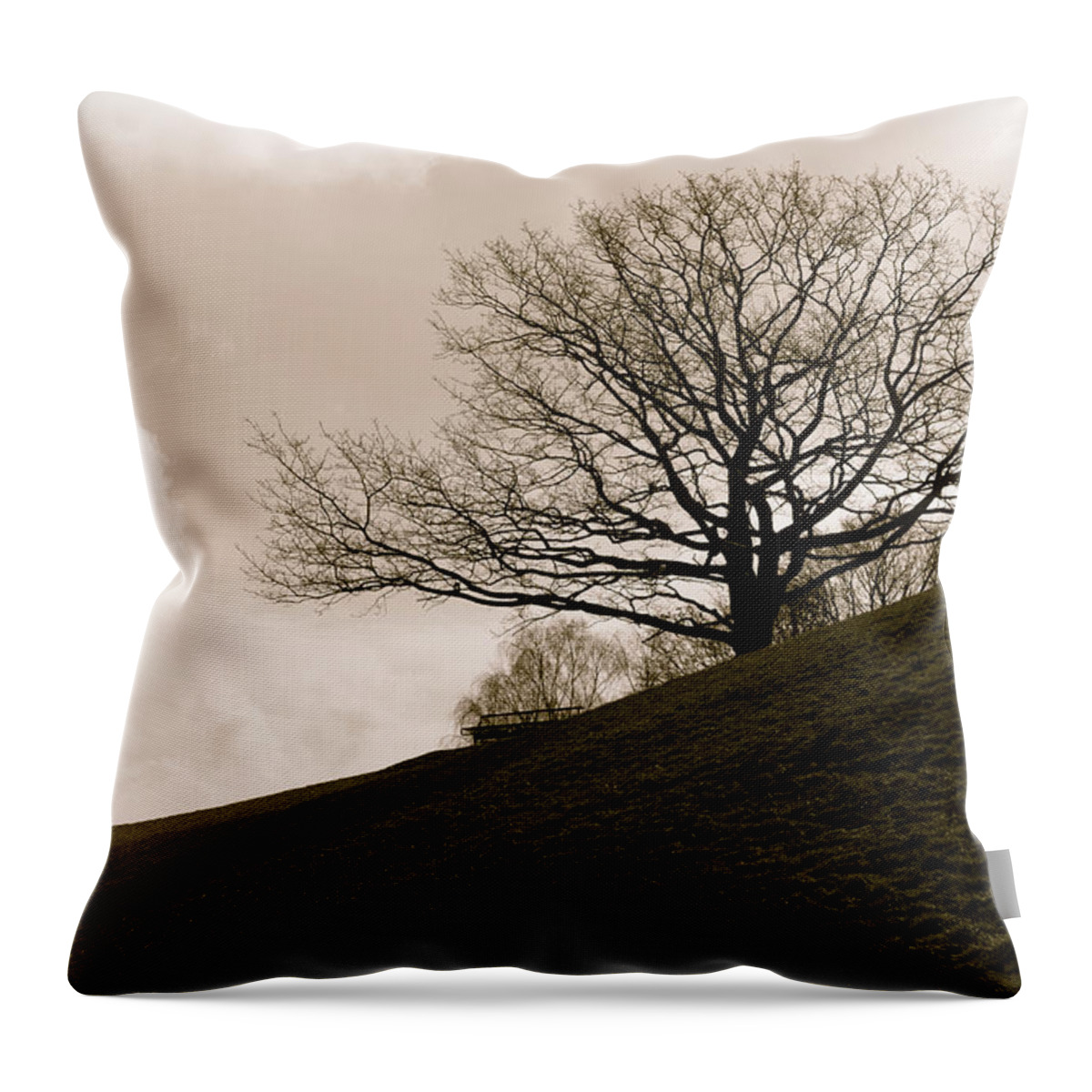 Landscape Throw Pillow featuring the photograph Lonely tree #2 by Sergey Simanovsky