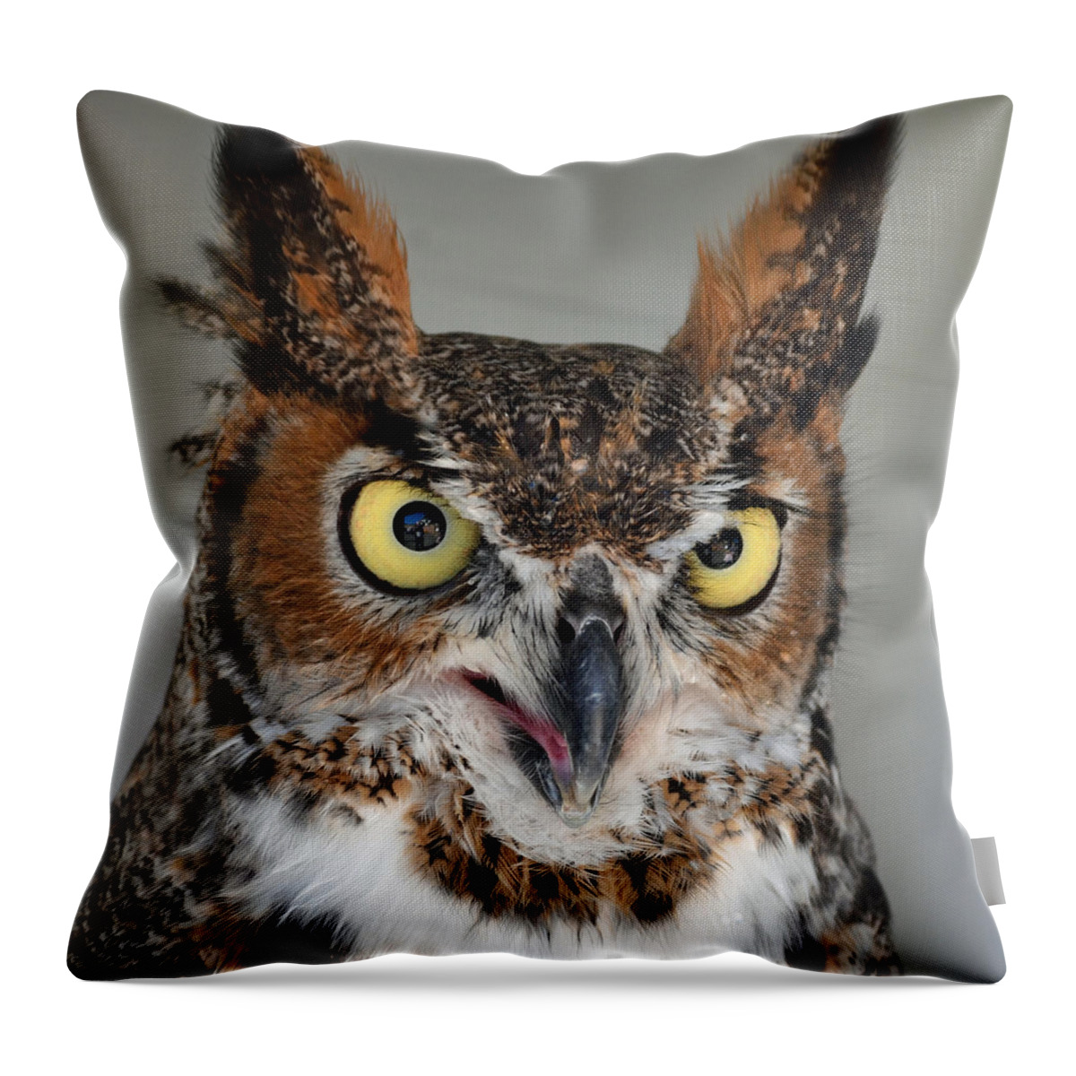 Long-eared Throw Pillow featuring the photograph Great Horned Owl #4 by Philip Ralley