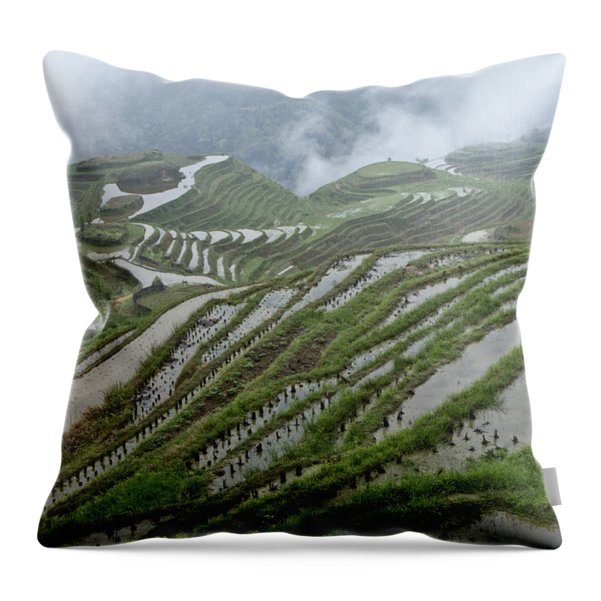 Asia Throw Pillow featuring the photograph Longsheng Rice Terraces #1 by Michele Burgess
