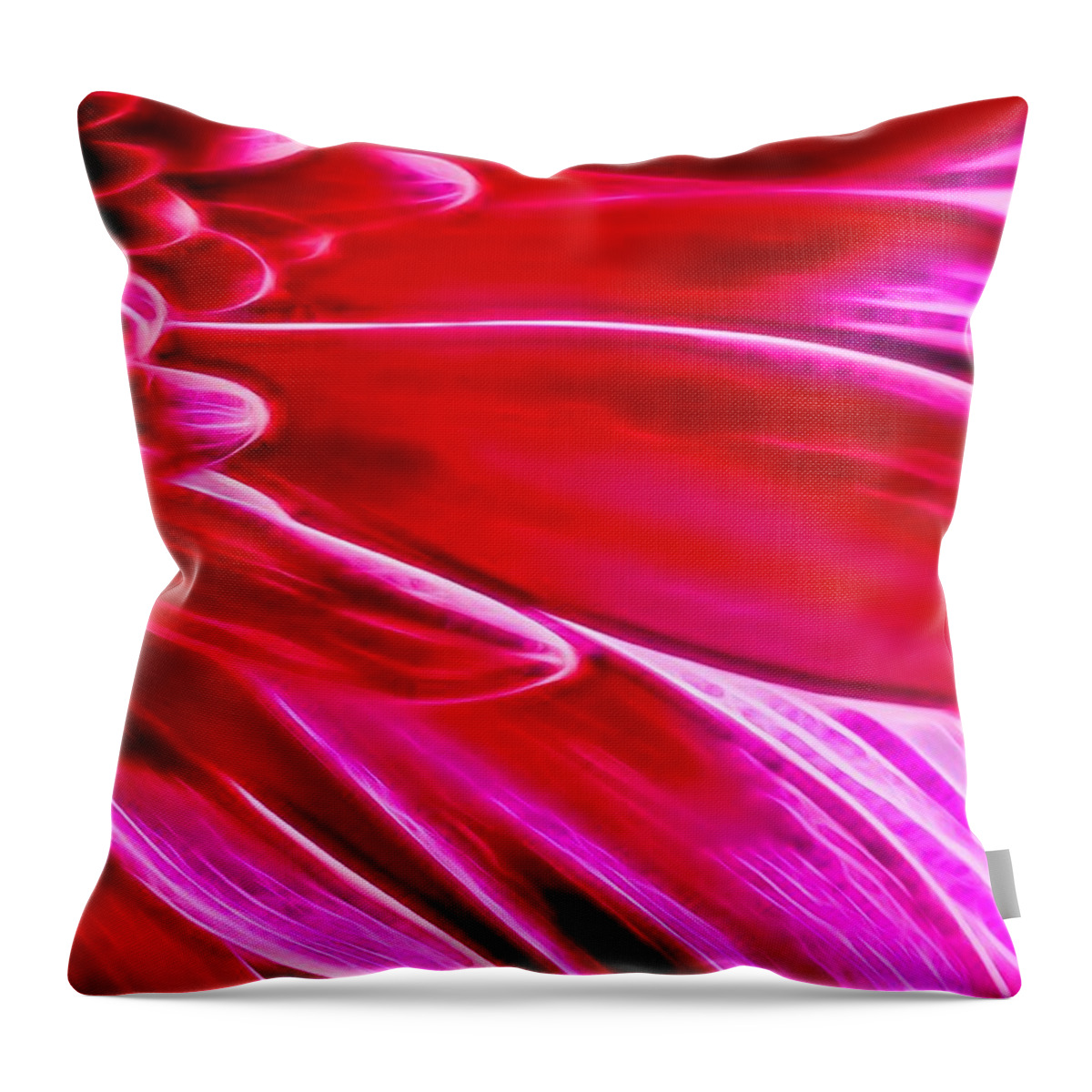 Abstract Throw Pillow featuring the photograph Macro Close-up of a Pink Chrysanthemum Flower #1 by John Williams