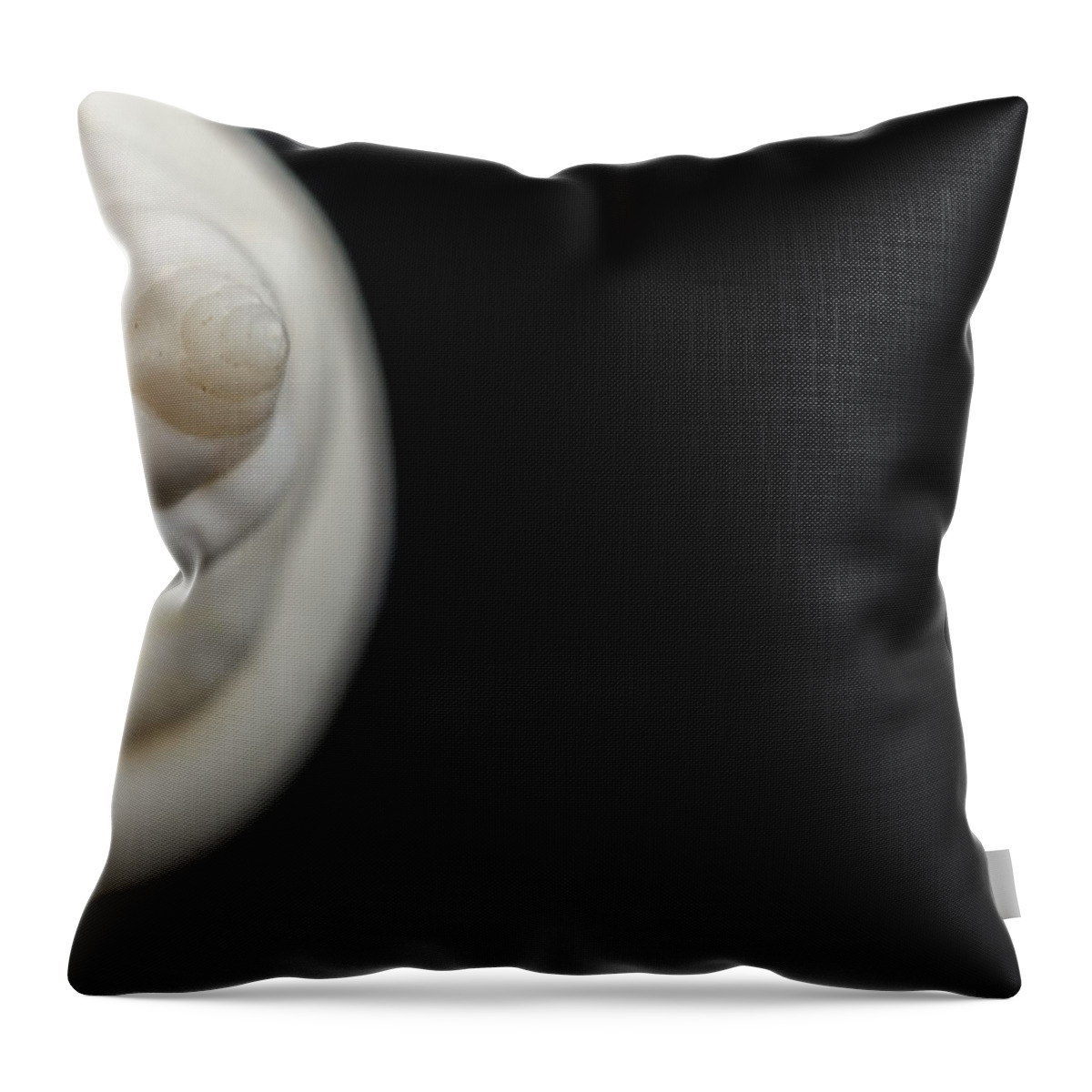 White Seashell Throw Pillow featuring the photograph Macro closeup of a Seashell #2 by John Williams