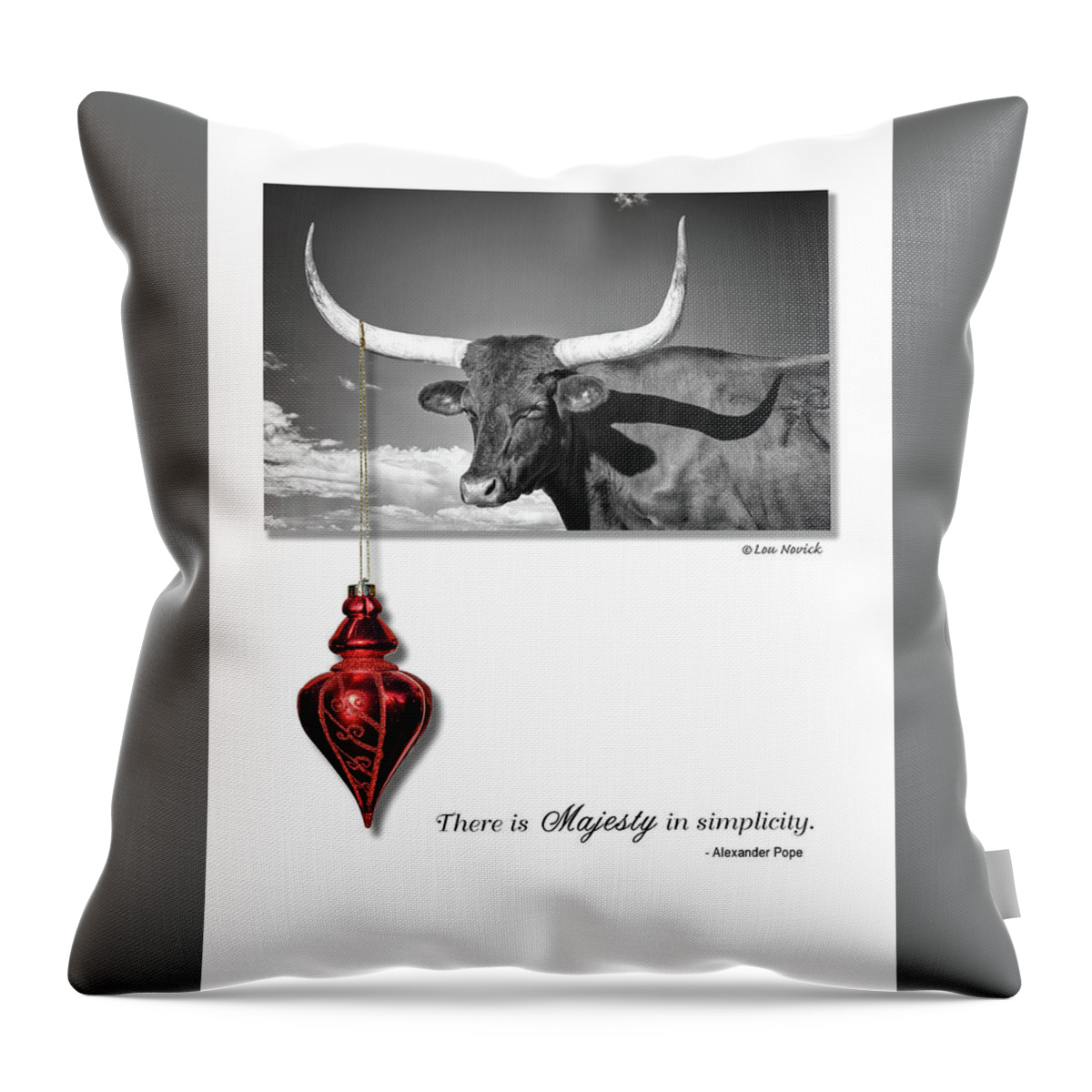 Longhorn Steer Throw Pillow featuring the photograph Majesty in simplicity #1 by Lou Novick