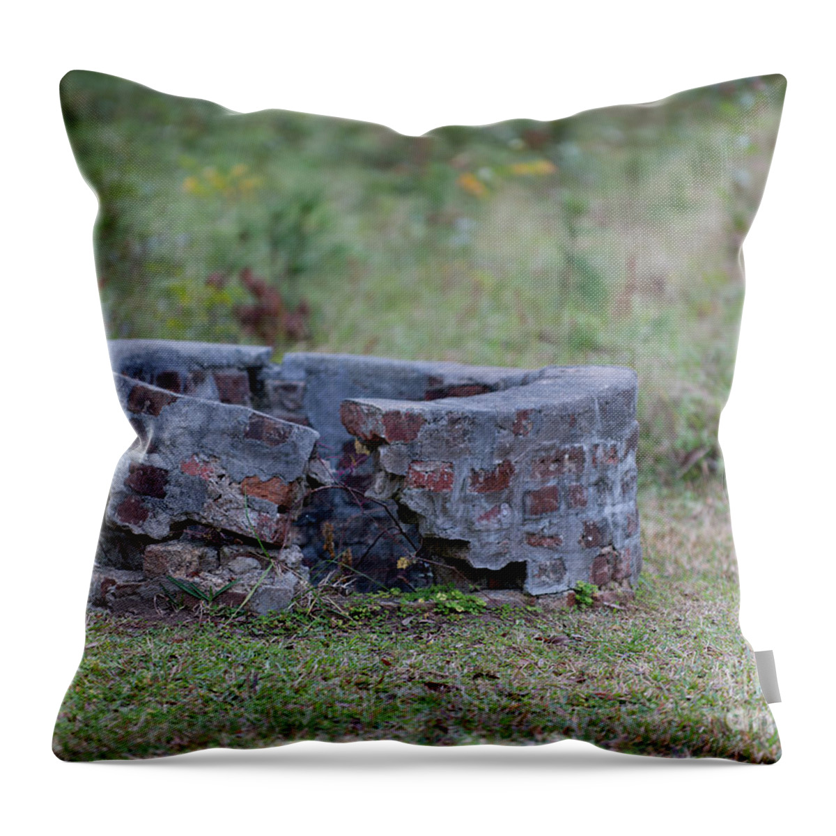 Brick Throw Pillow featuring the photograph Make a Wish #2 by Dale Powell