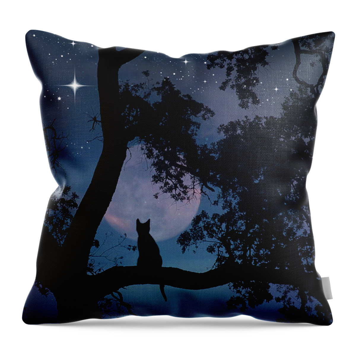 Cat Throw Pillow featuring the photograph Make a Wish #1 by Stephanie Laird