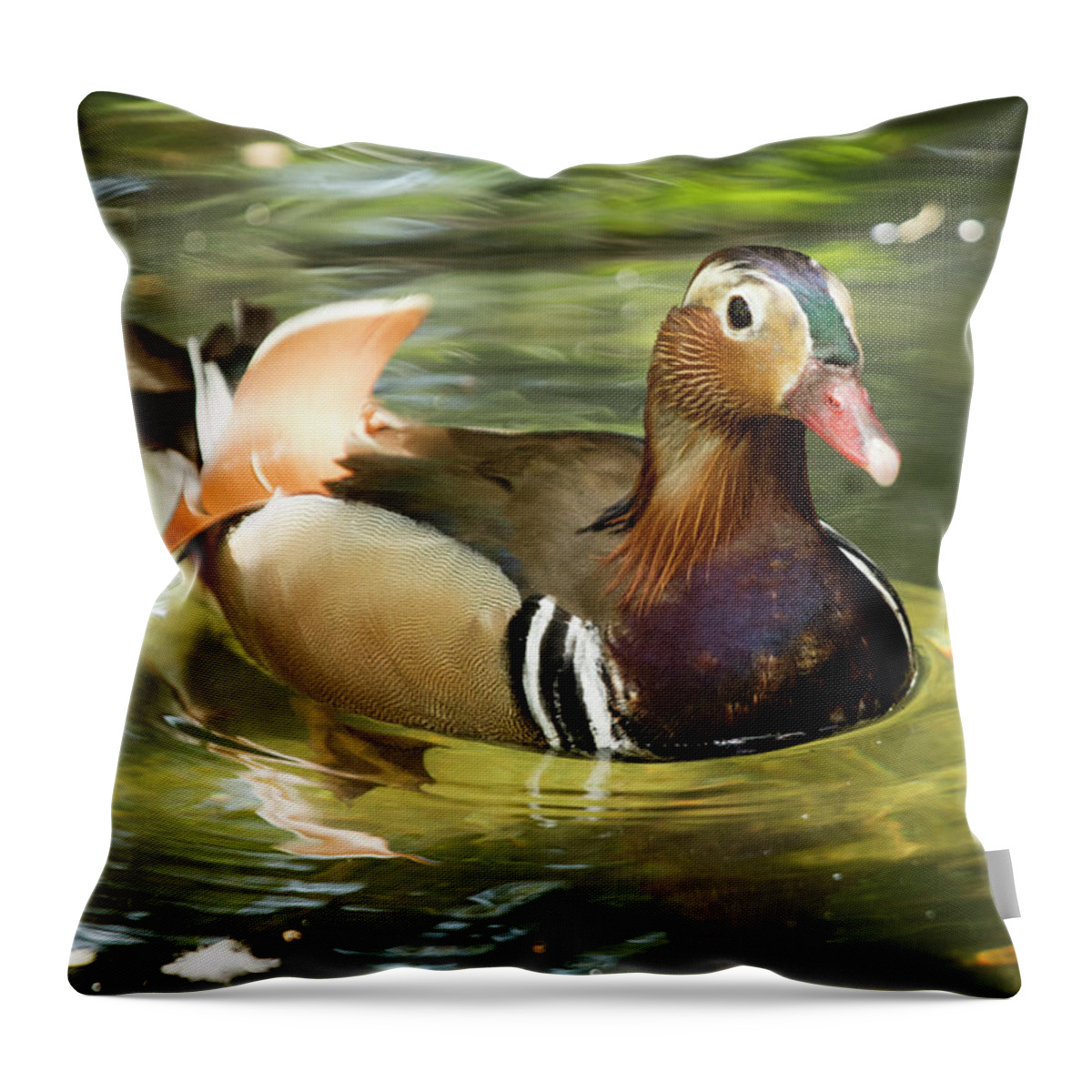 Duck Throw Pillow featuring the photograph Mandarin Duck #1 by Julian Regan