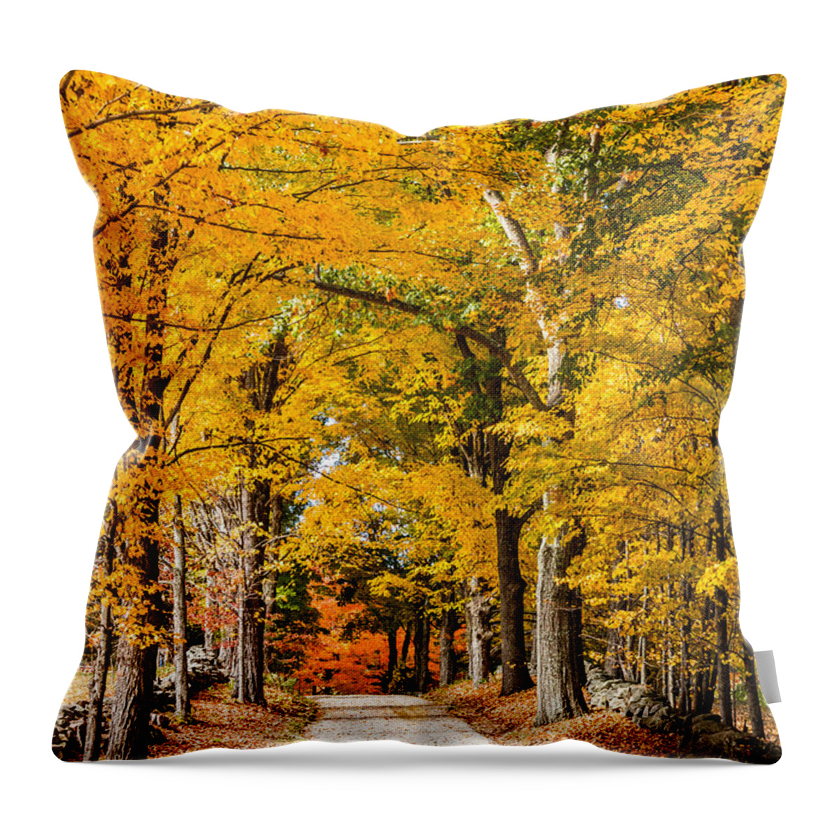 Fall Throw Pillow featuring the photograph Maple Lane #1 by Robert Clifford