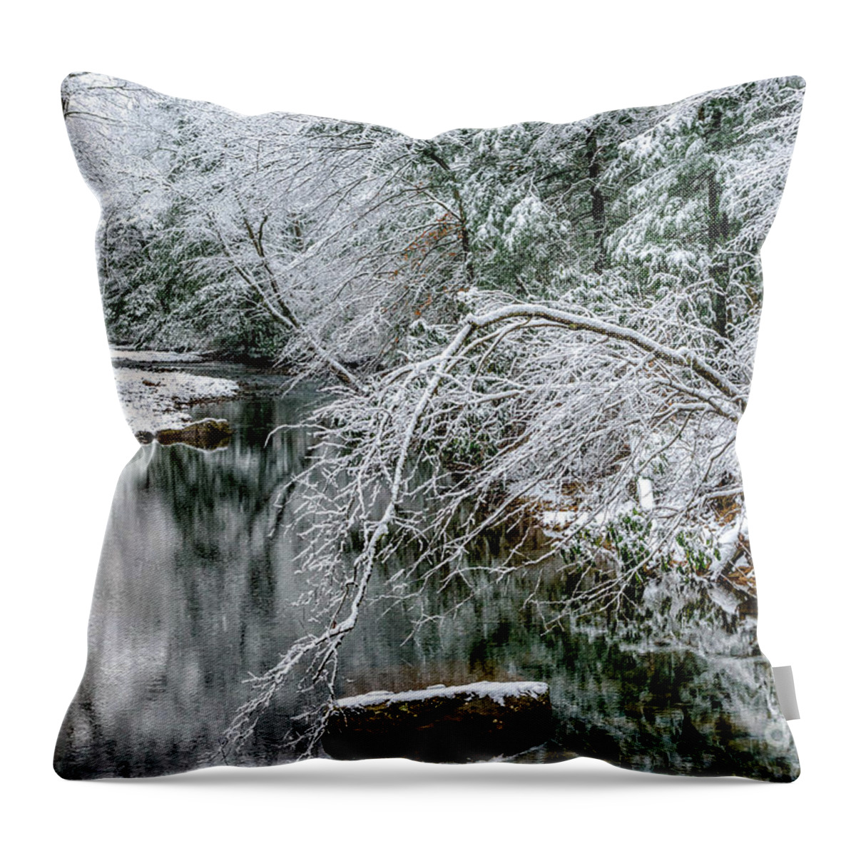 Cranberry River Throw Pillow featuring the photograph March Snow Cranberry River #1 by Thomas R Fletcher