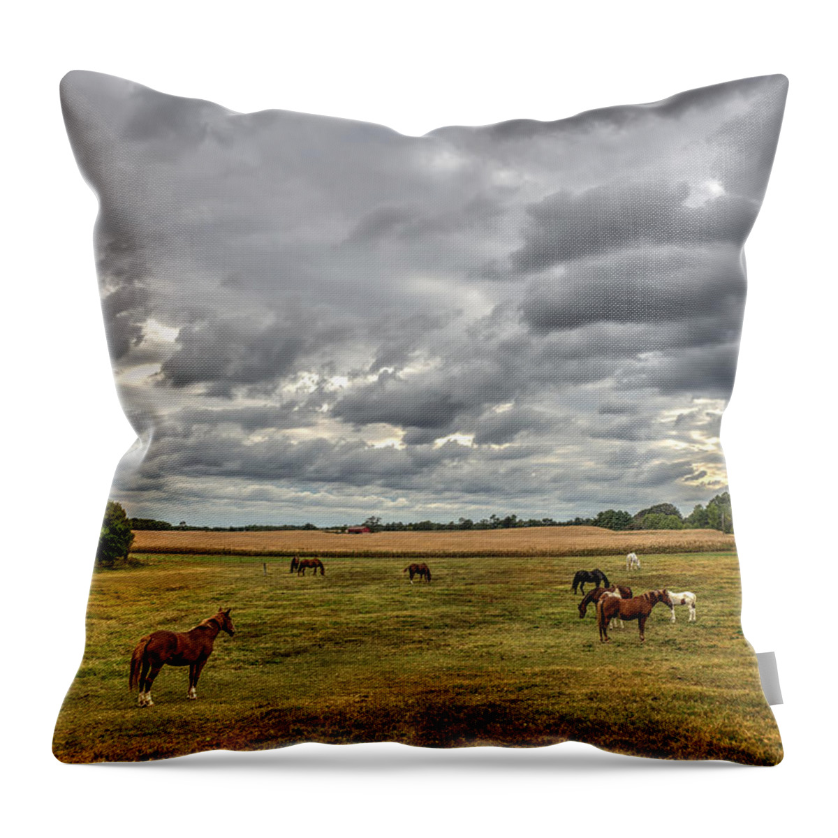 Horses Throw Pillow featuring the photograph Maryland Pastures #1 by Patrick Wolf