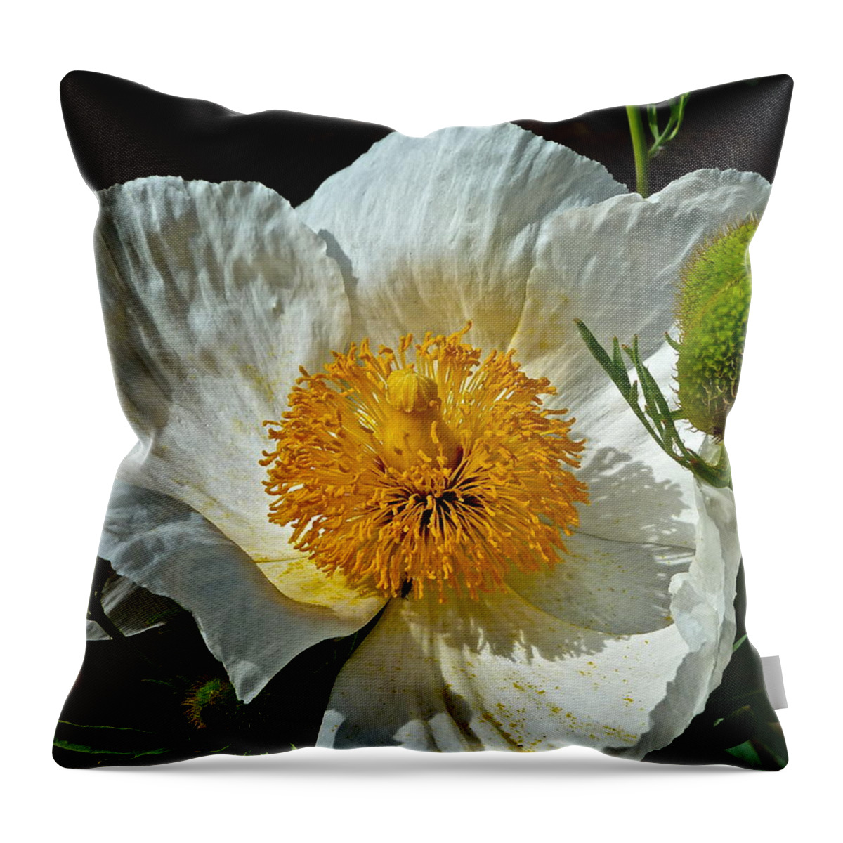 Flowers Throw Pillow featuring the photograph Matilija Poppy Three #1 by Diana Hatcher