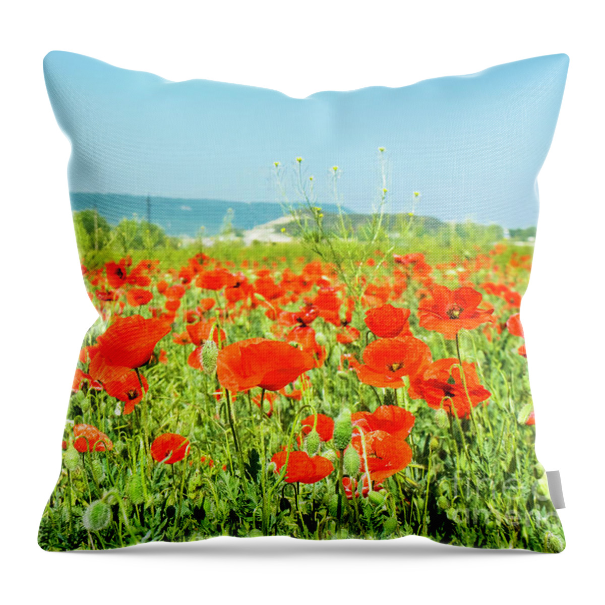 Red Throw Pillow featuring the photograph Meadow with red poppies #10 by Irina Afonskaya
