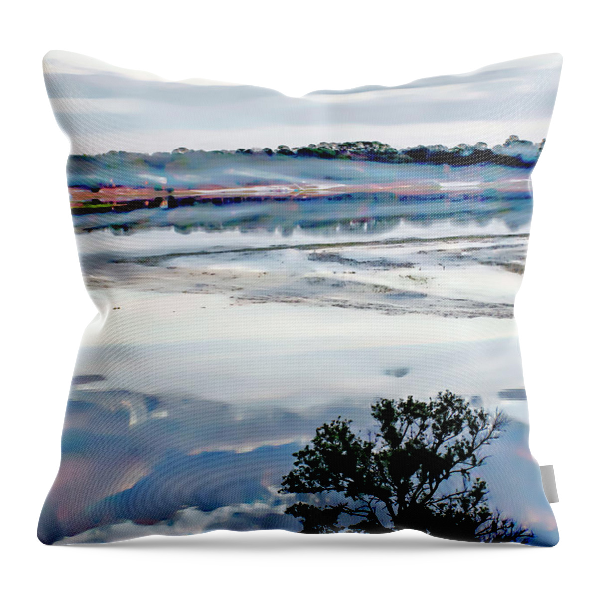 Misty Throw Pillow featuring the photograph Misty Morning on Spring Lake #1 by Gina O'Brien