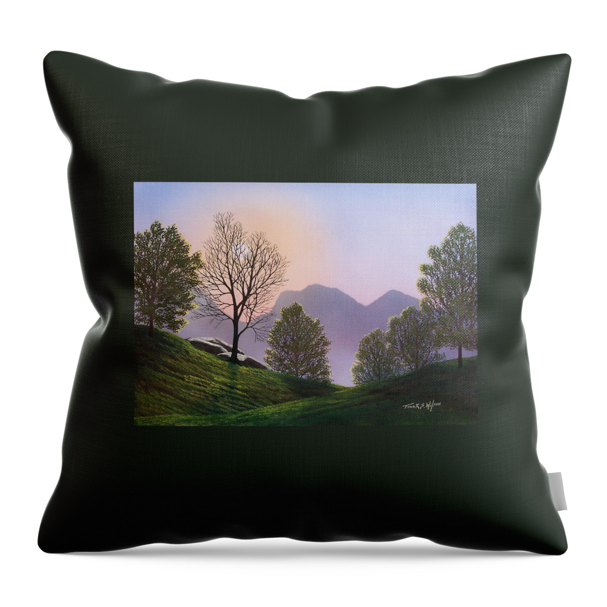 Landscape Throw Pillow featuring the painting Misty Spring Meadow #1 by Frank Wilson