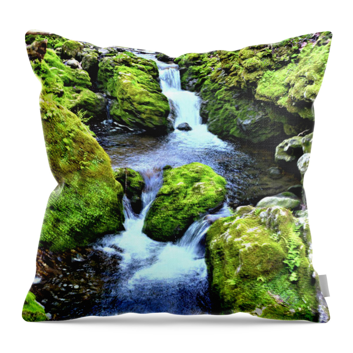Mossy Throw Pillow featuring the photograph Moine Creek by Bonfire Photography