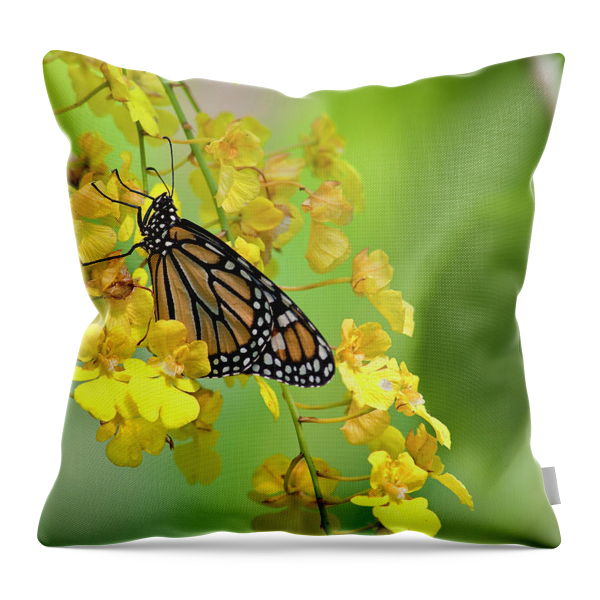 Monarch Throw Pillow featuring the photograph Monarch Butterfly on Yellow Orchids #1 by Jill Lang