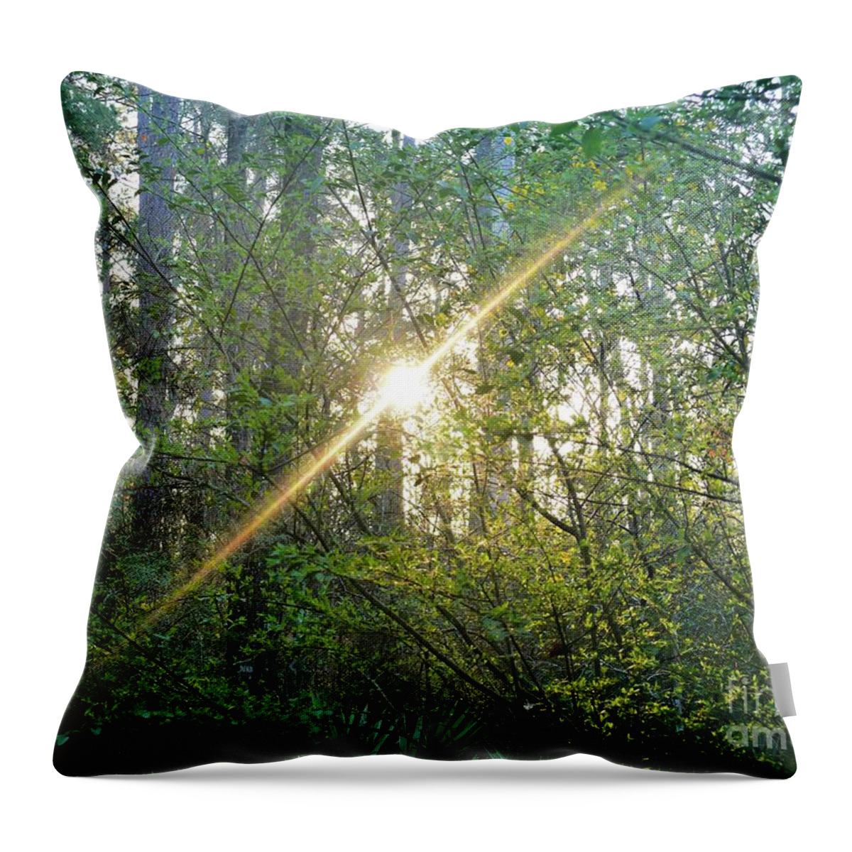 Morning Throw Pillow featuring the photograph Morning Light #2 by Gary Richards