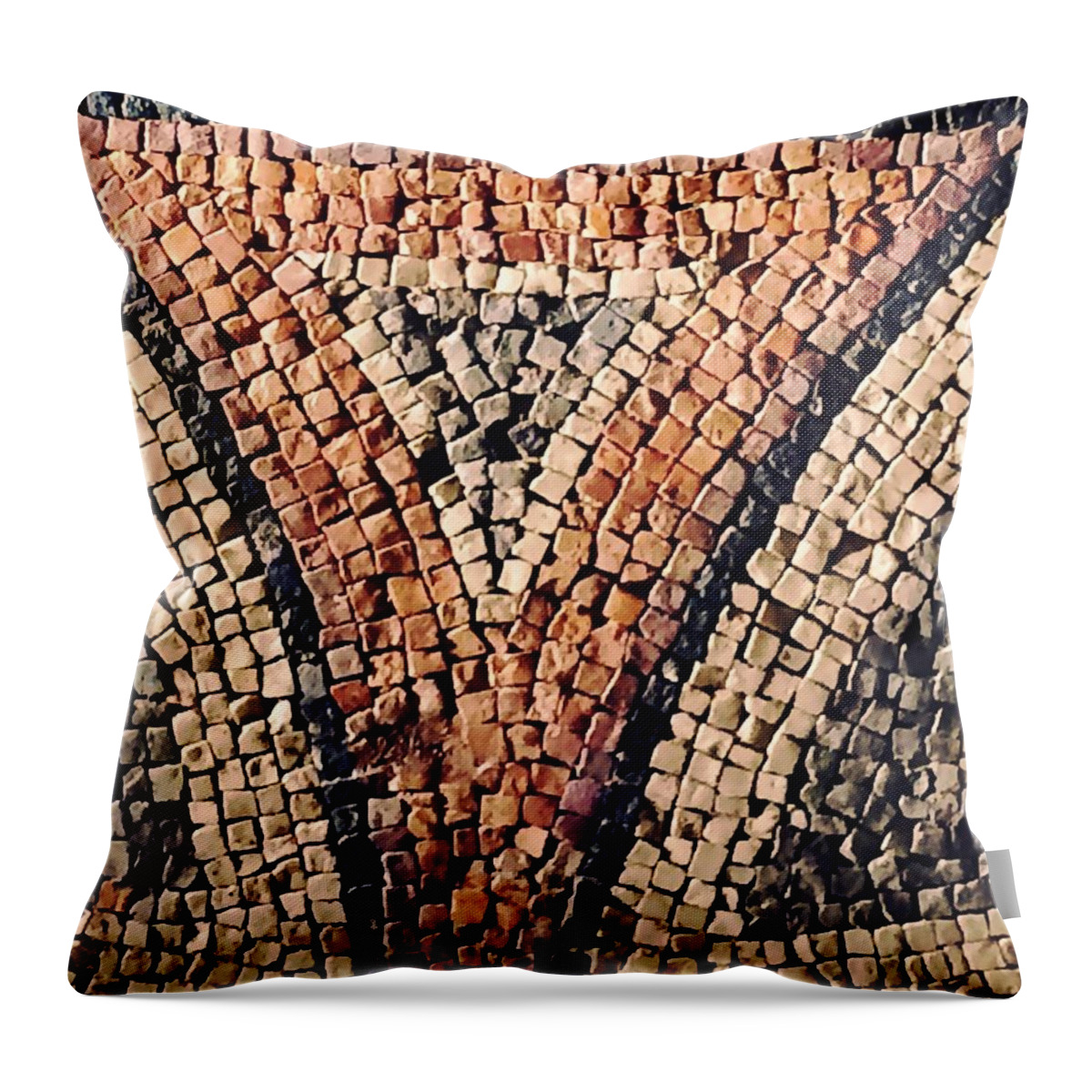 Mosaic Detail Throw Pillow featuring the photograph Mosaic detail by Sandy Taylor