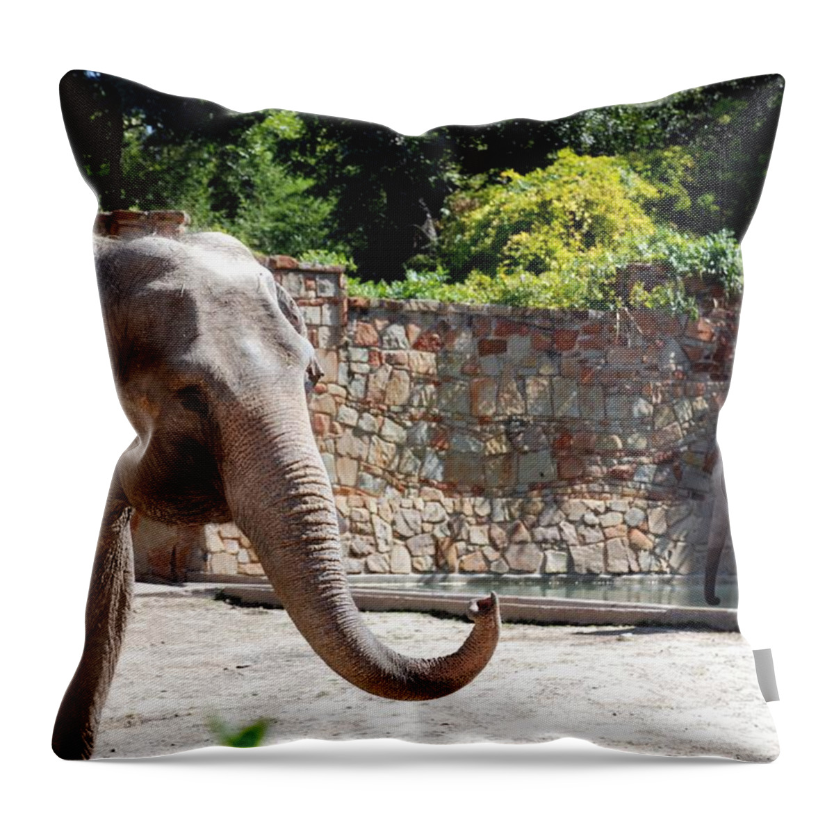 Ft. Worth Throw Pillow featuring the photograph Mother and Child #1 by Kenny Glover