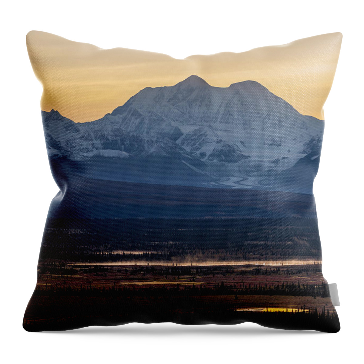 Alaska Throw Pillow featuring the photograph Mount Hayes, Alaska #1 by Scott Slone