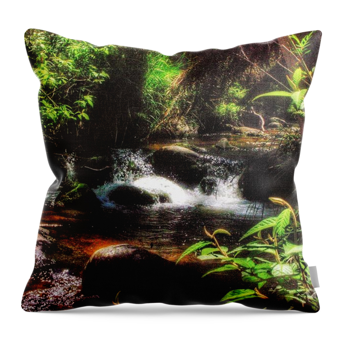 Mountain Stream Throw Pillow featuring the photograph Mountain Stream #1 by Blair Stuart