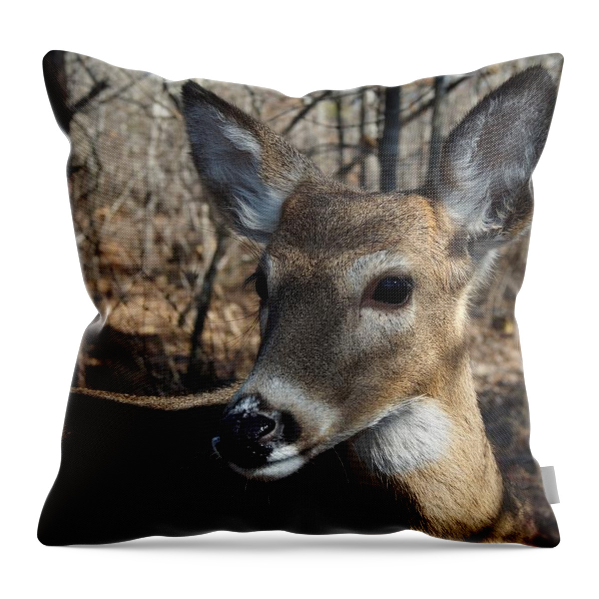 Deer Throw Pillow featuring the photograph Mr. Cool #1 by Bill Stephens