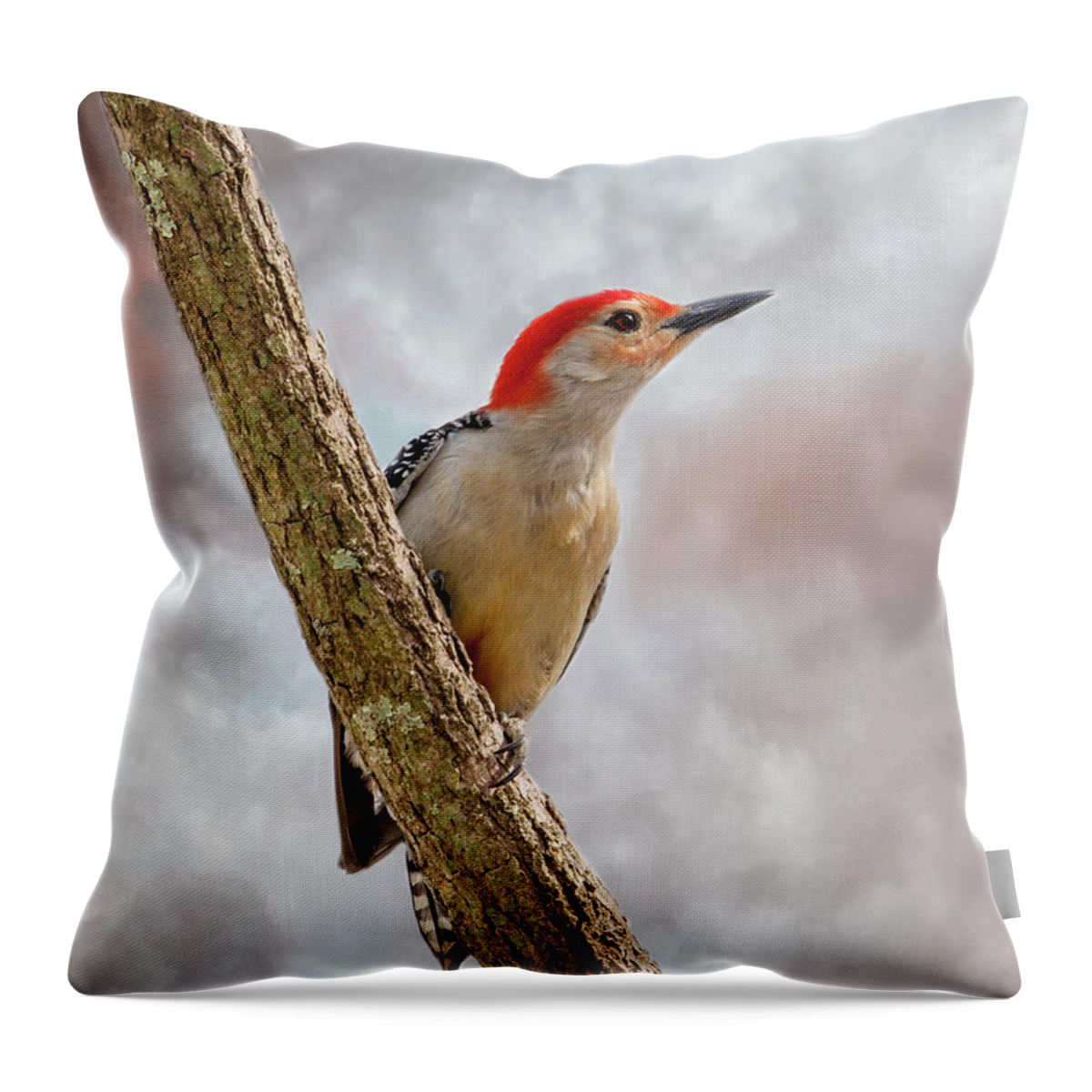 Bird Throw Pillow featuring the photograph Mr. Red Belly #1 by Cathy Kovarik