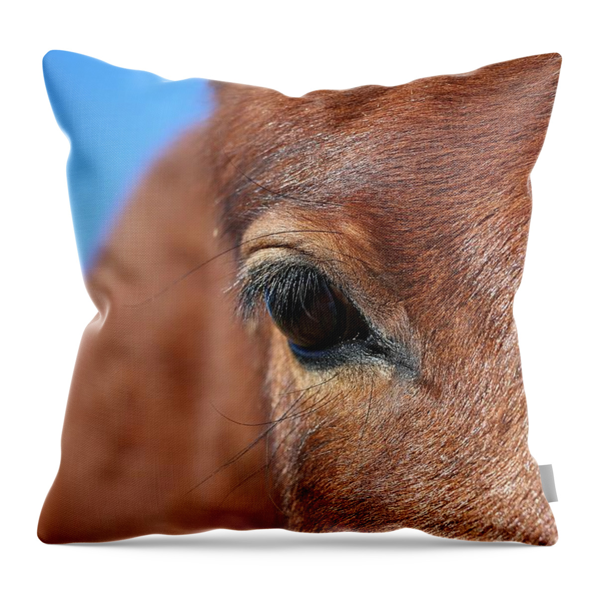 Virginia Range Mustangs Throw Pillow featuring the photograph Mustang Macro #1 by Maria Jansson