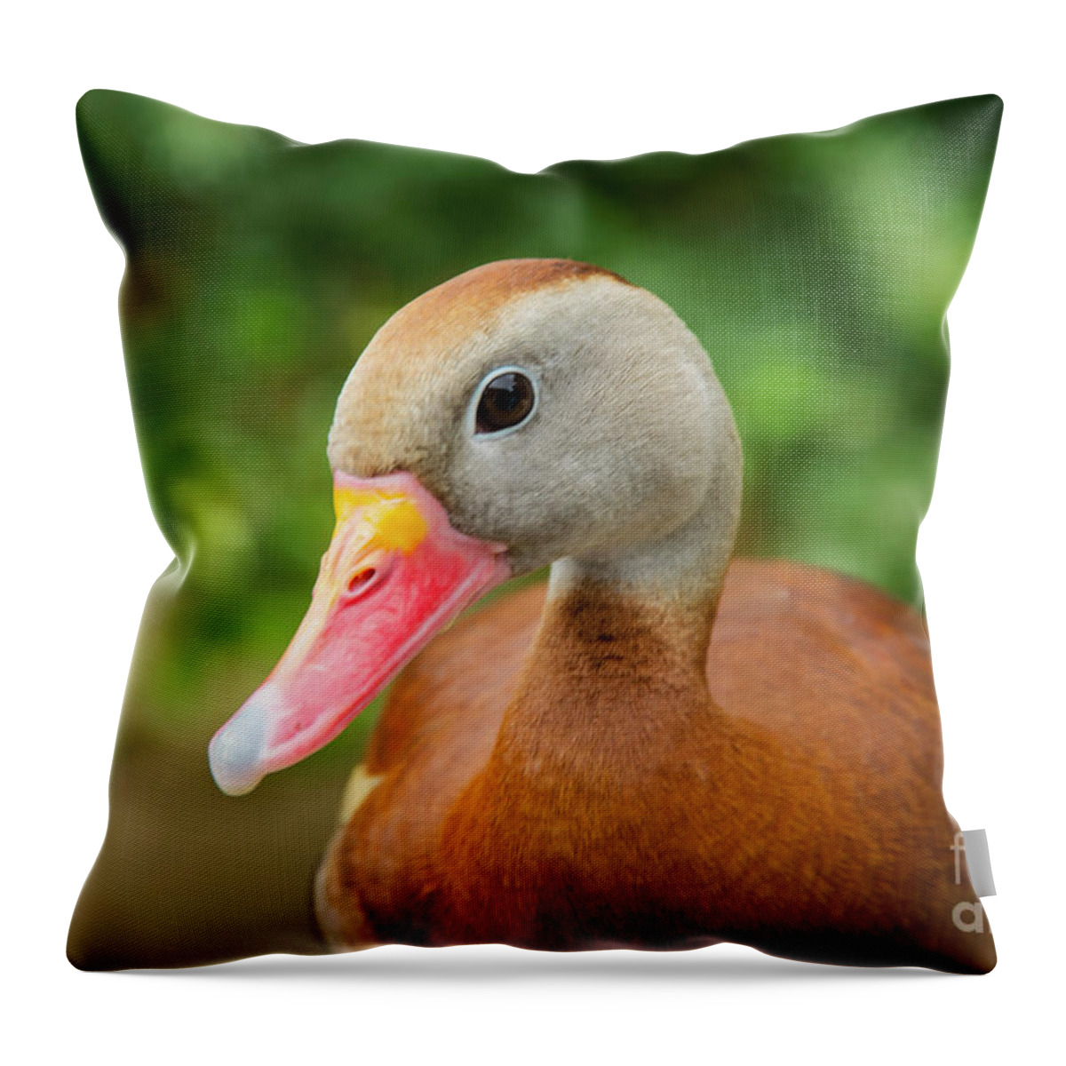 Cameron Park Zoo Throw Pillow featuring the photograph Whistling Duck Best Pose by Bob Phillips