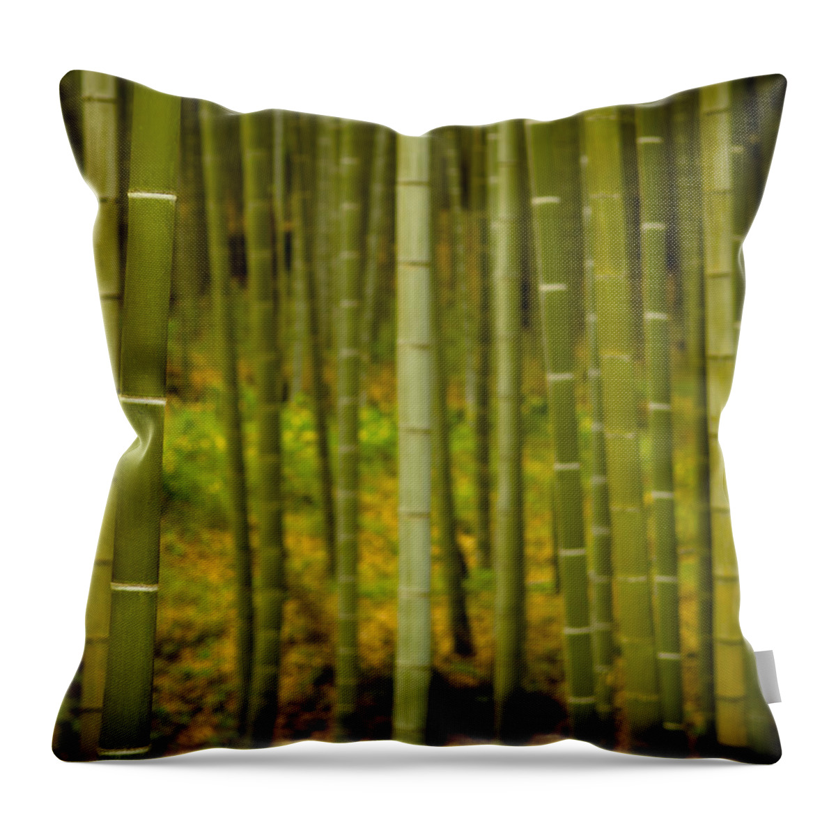 Bamboo Throw Pillow featuring the photograph Mystical Bamboo #1 by Sebastian Musial
