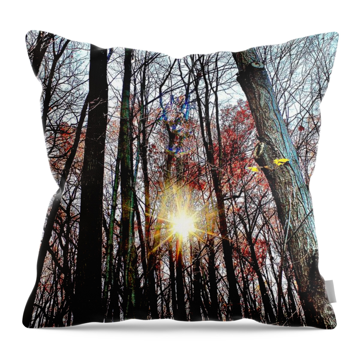Photograph Throw Pillow featuring the photograph Nature #1 by MaryLee Parker