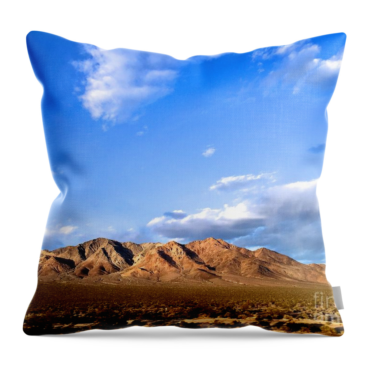 Photography Throw Pillow featuring the photograph Nevada Landscape by Sean Griffin
