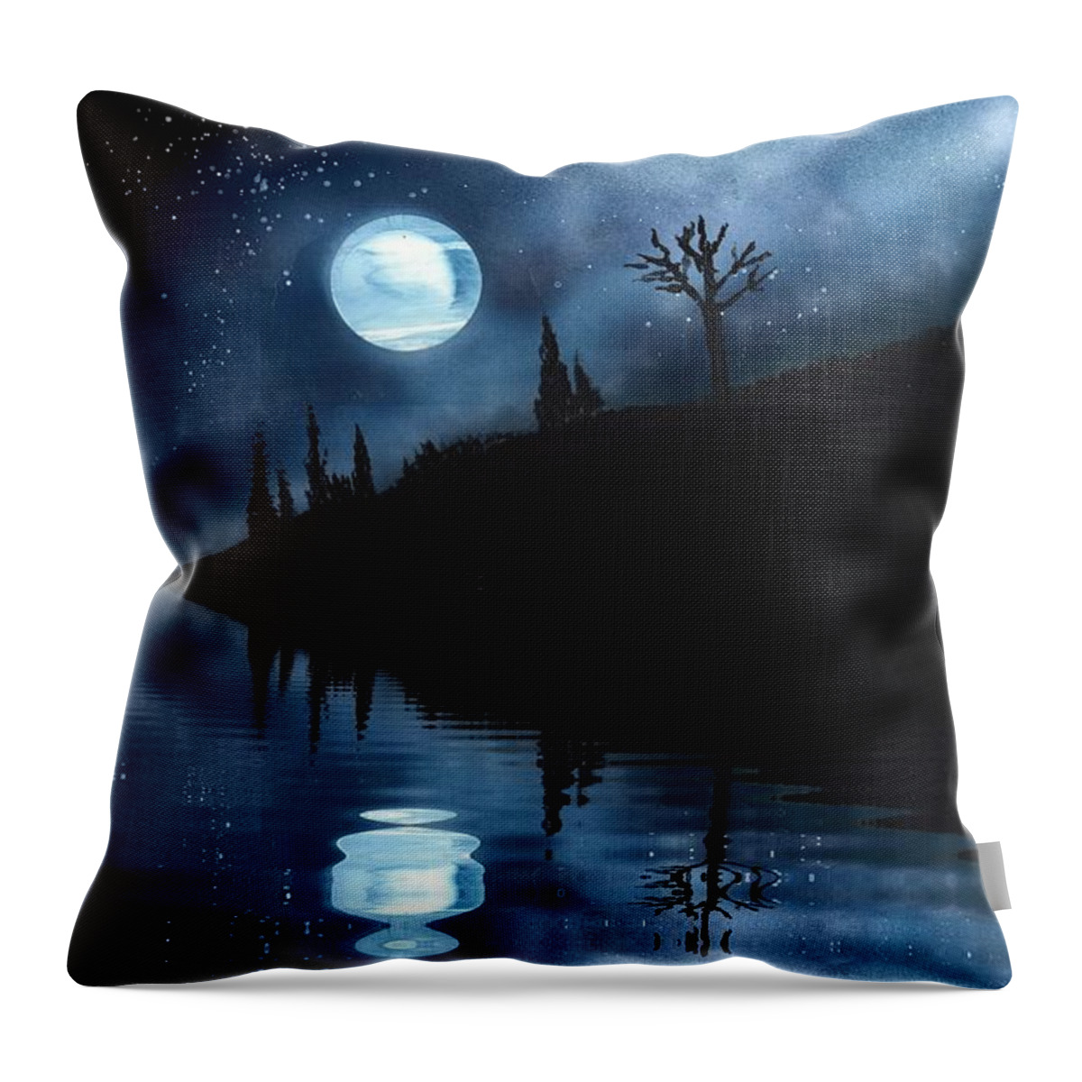 Acrylic Throw Pillow featuring the painting Night Sky #1 by Bill Richards