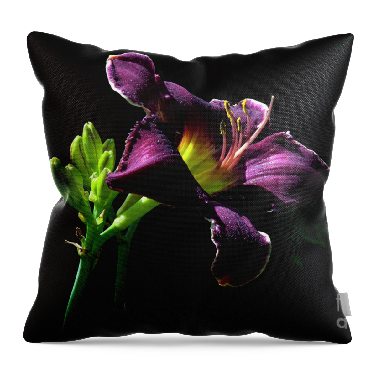 Lily Throw Pillow featuring the photograph Nobility #2 by Doug Norkum