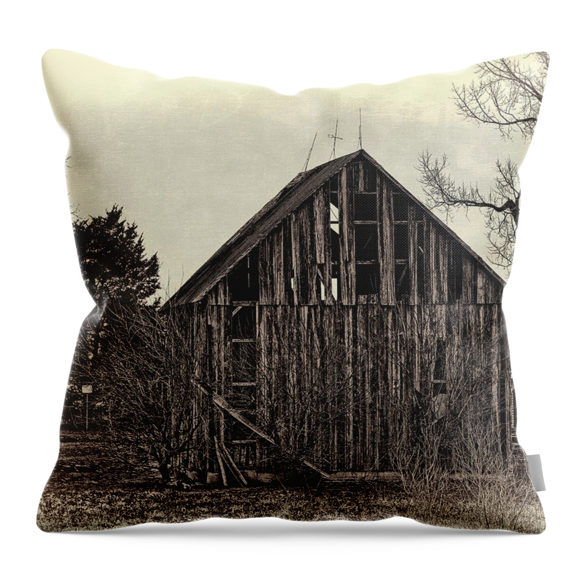 Old Throw Pillow featuring the photograph Old Days #1 by Theresa Campbell