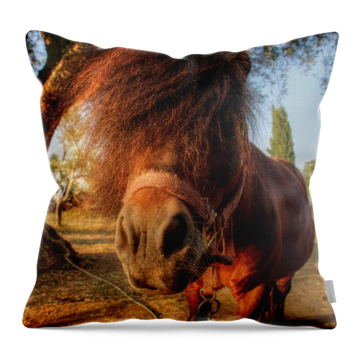 Olympia Greece Throw Pillow featuring the photograph Olympia Greece #1 by Paul James Bannerman