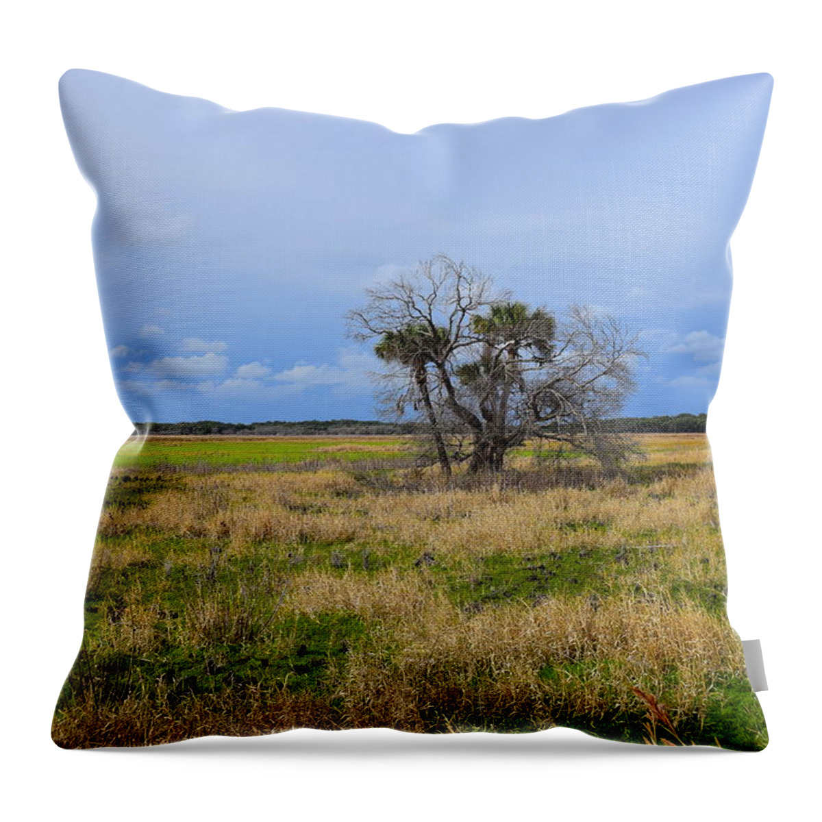 Florida Throw Pillow featuring the photograph Open Fields #1 by Florene Welebny