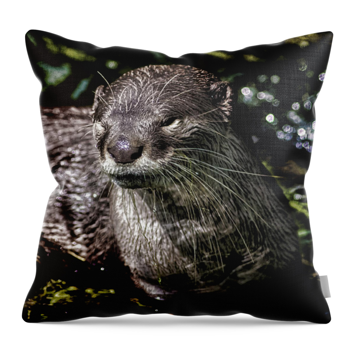 Otter Throw Pillow featuring the photograph Otter #1 by Martin Newman