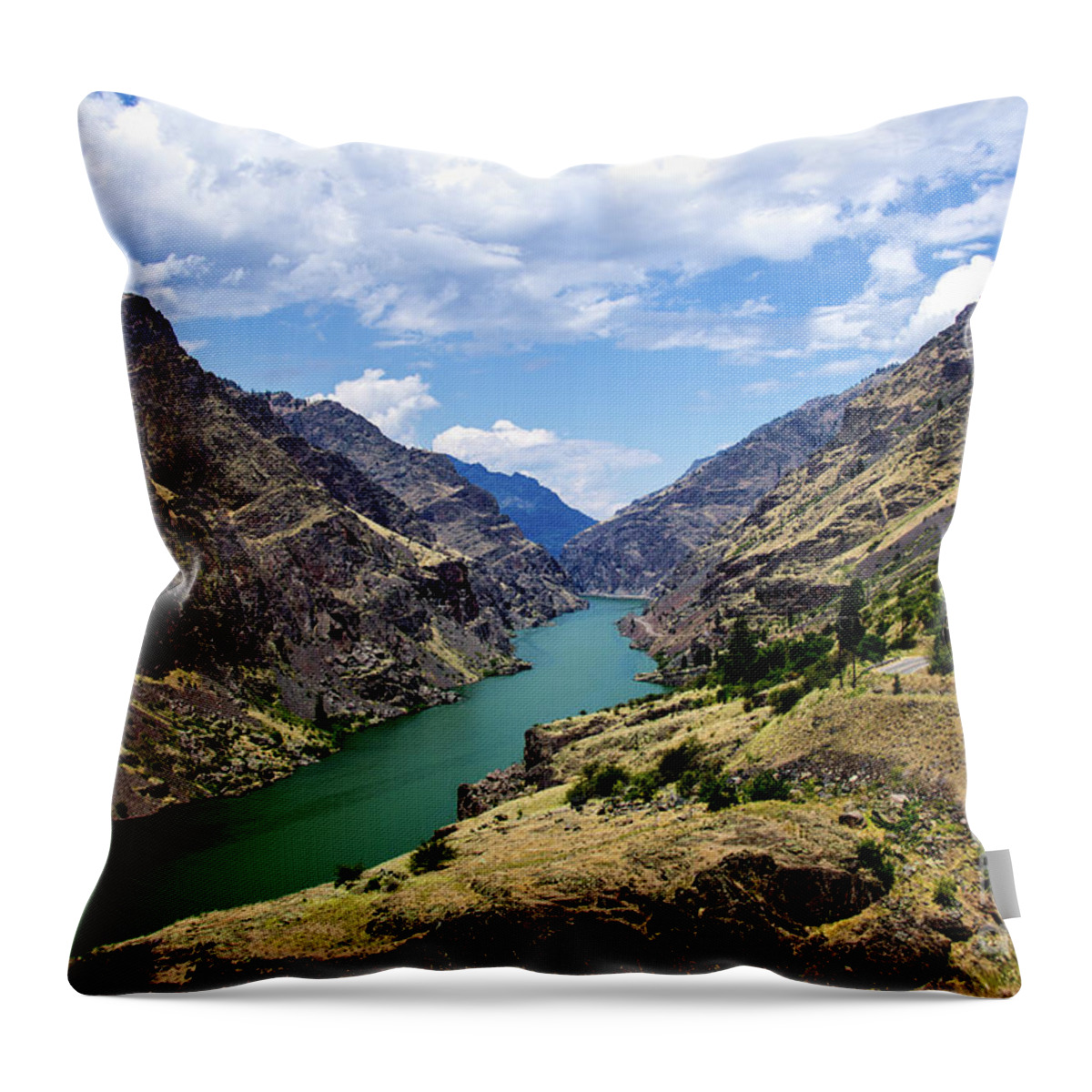 Boise Idaho Throw Pillow featuring the photograph Oxbow Dam Tailwater Idaho Journey Landscape Photography by Kaylyn Franks by Kaylyn Franks