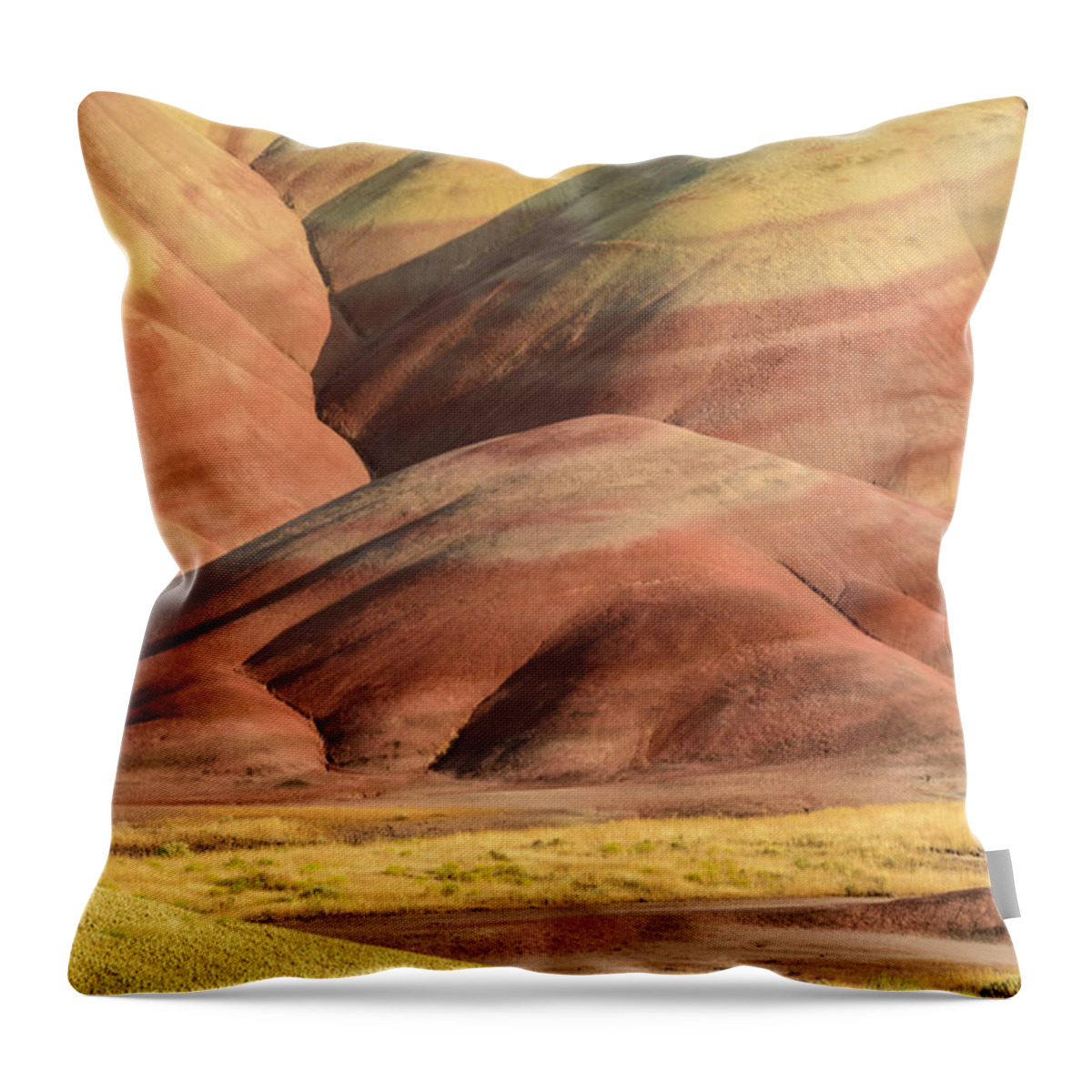 Painted Hills Throw Pillow featuring the digital art Painted Hills #1 by Michael Lee