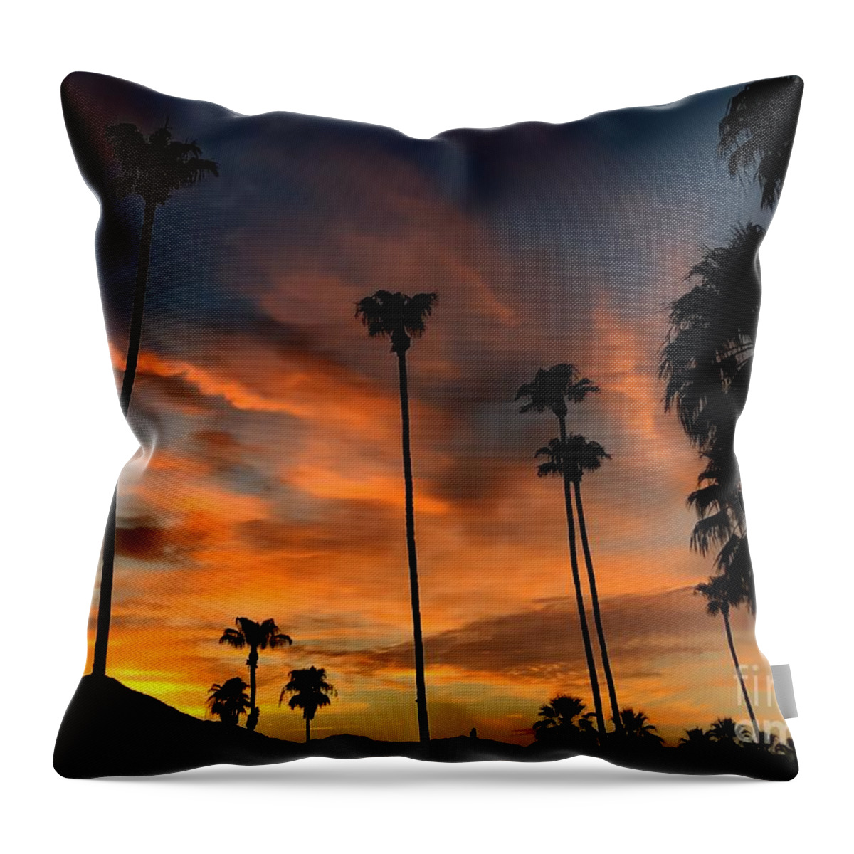 Art Throw Pillow featuring the photograph Palm Springs #2 by Chris Tarpening
