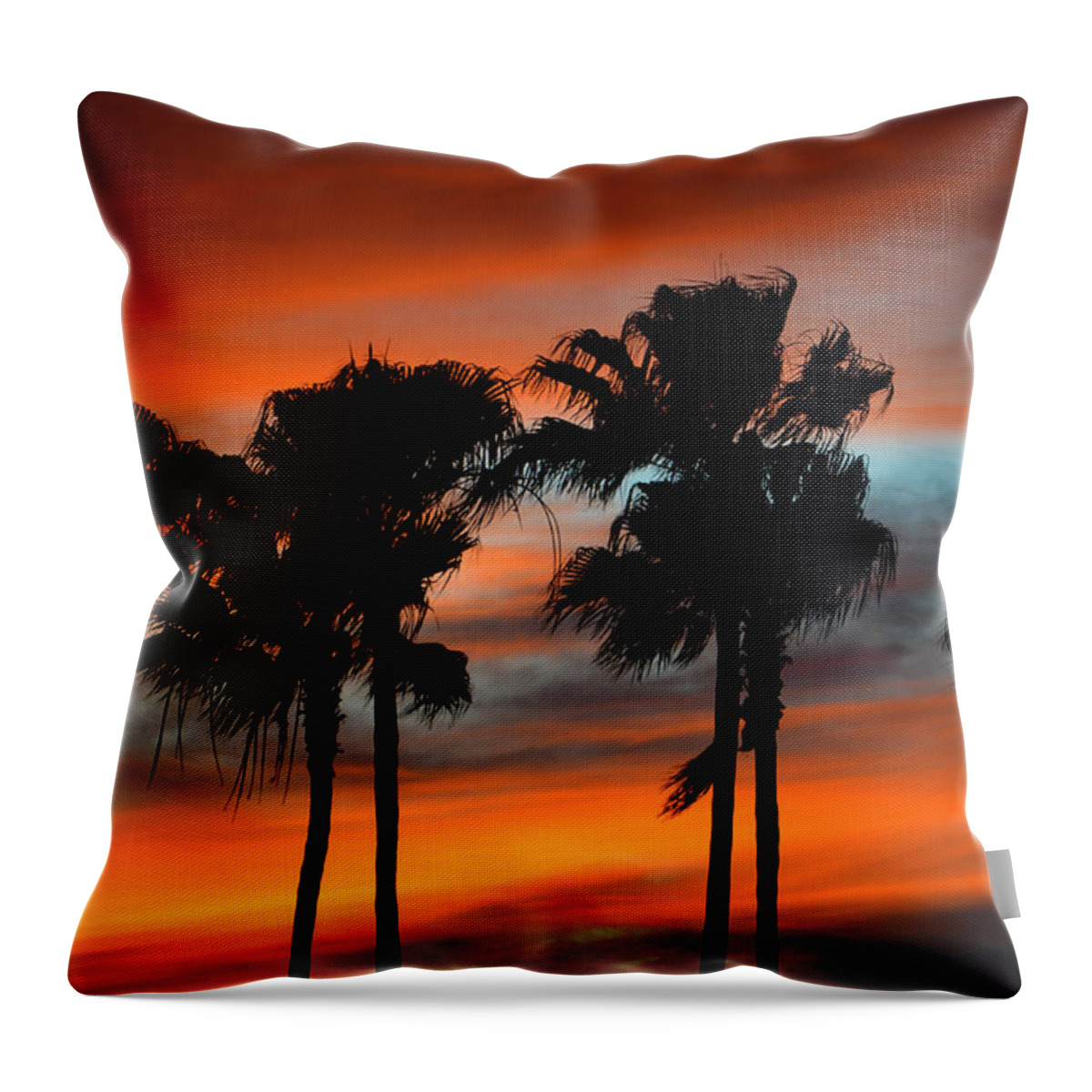 Palm Trees Throw Pillow featuring the photograph Palmset #1 by David Lee Thompson