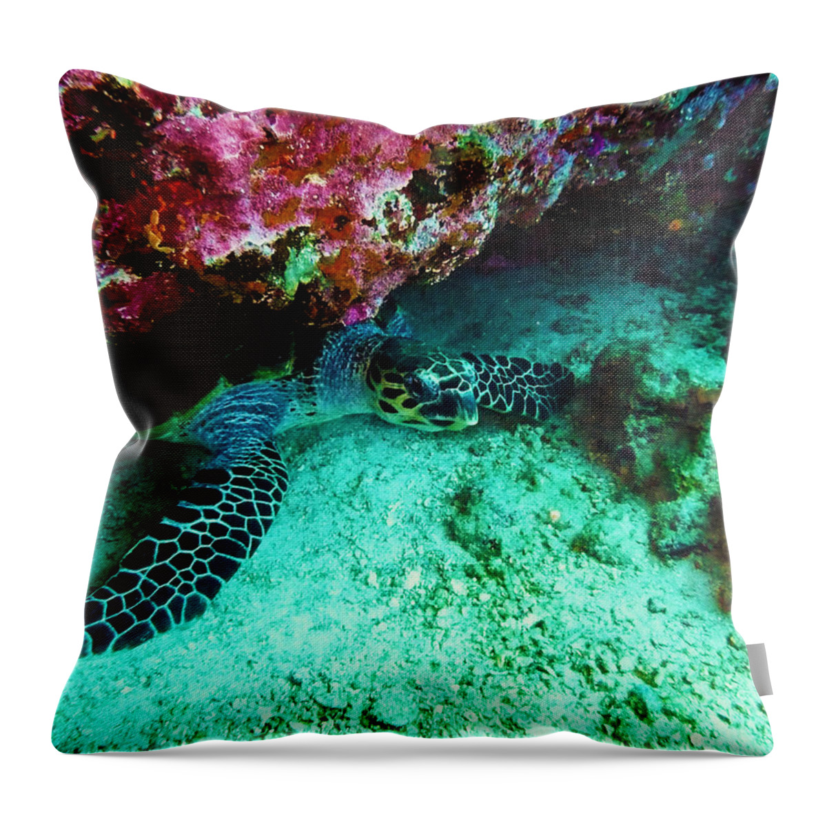 Turtle Throw Pillow featuring the photograph Peace of mind #2 by Andrea Fabbri